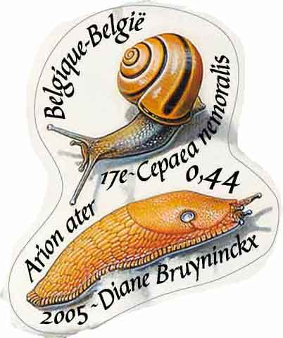 Cepaea nemoralis & arion rufus
